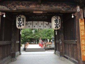 11275678_983919488306546_175911276_n