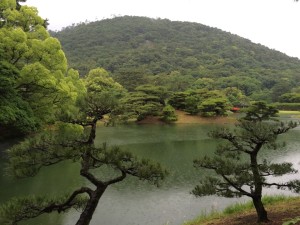 11279936_983916428306852_38537214_n