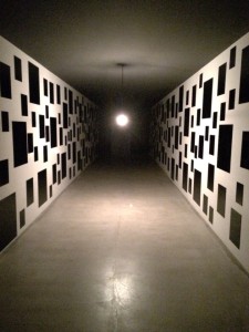 11418630_983916864973475_1004900276_n