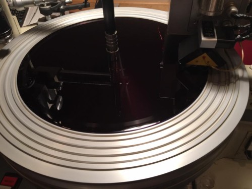 13939319_314495158884608_6547369804423338064_n